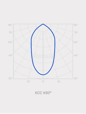 ДСП-01-150-4KK-17650-K60-IP67 КСС К60